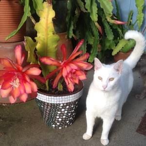 Meet your Posher, Janet